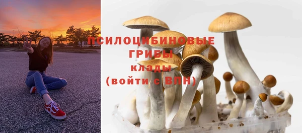 гидра Аркадак