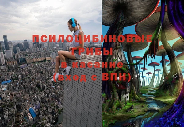 прущая мука Алексеевка