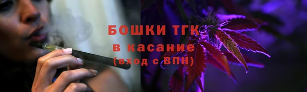 гидра Аркадак