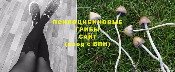 каннабис Алзамай